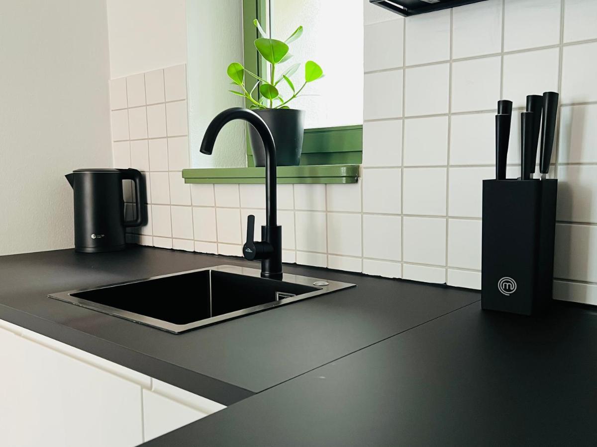 Hip & Minimalist - Stadt Apartments Am Malerweg Pirna Kültér fotó