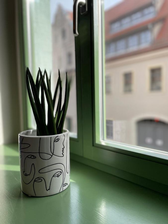 Hip & Minimalist - Stadt Apartments Am Malerweg Pirna Kültér fotó